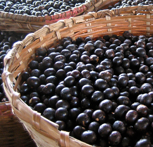 acai berry