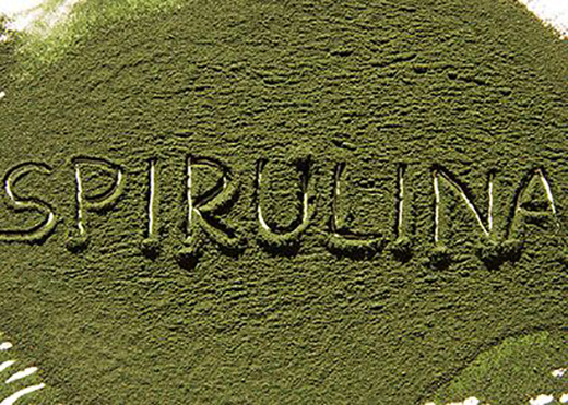 Spirulina inscription
