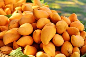 African-mango-gia apoleia varous