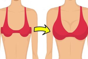 Increase Your Breast Size