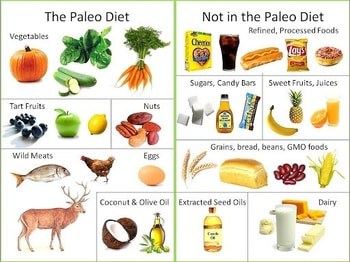 Paleo Diet foods