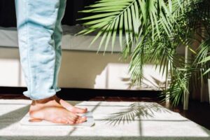 body composition body composition